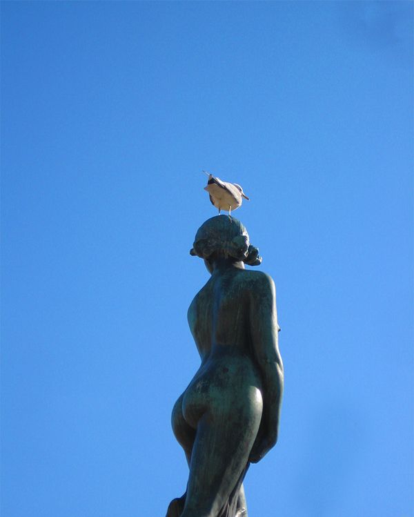 Kuva Havis Amanda patsaasta sinistä taivasta vasten lokki pään päällä, lokki ja patsas selin katsojaan